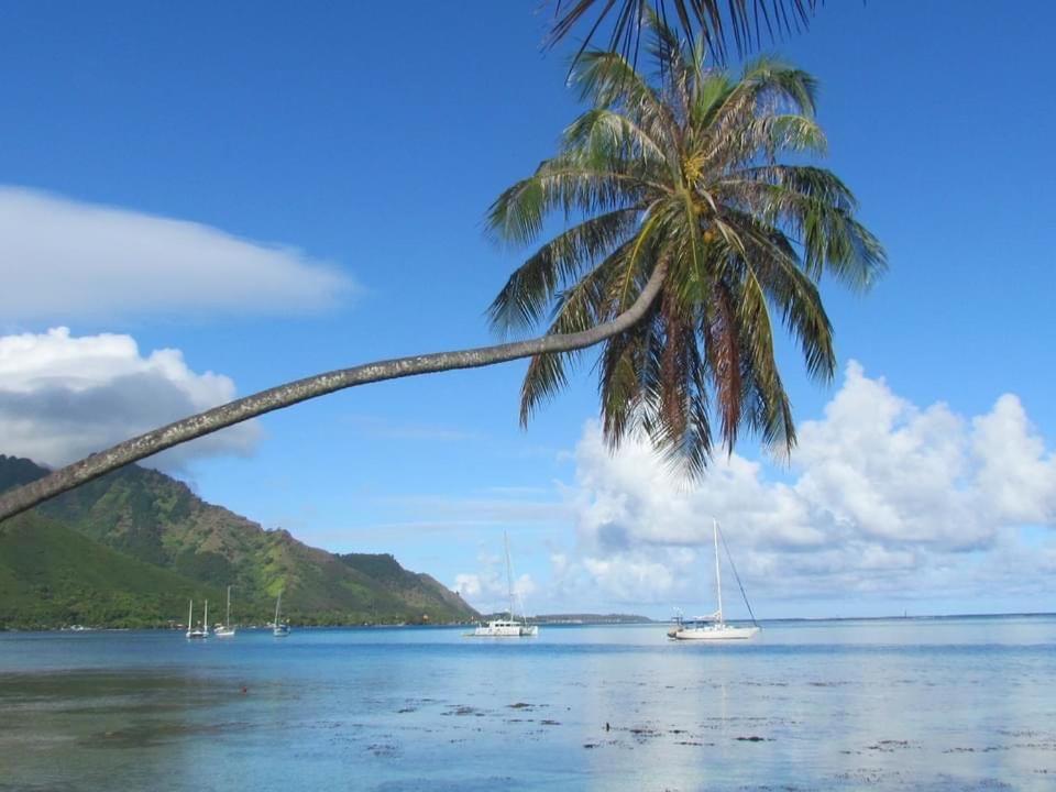 Beach De Reve De Moorea Hauru Экстерьер фото