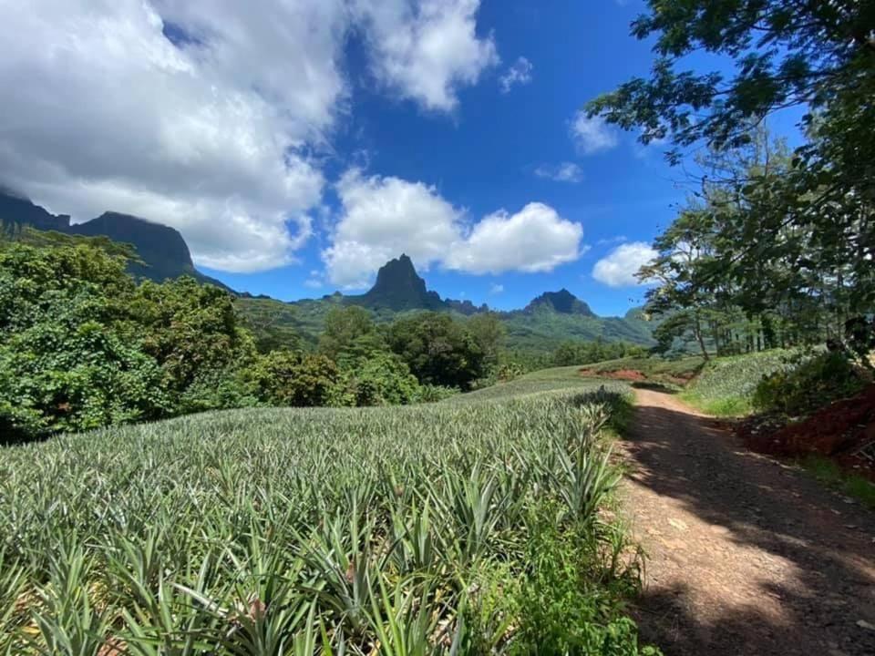 Beach De Reve De Moorea Hauru Экстерьер фото