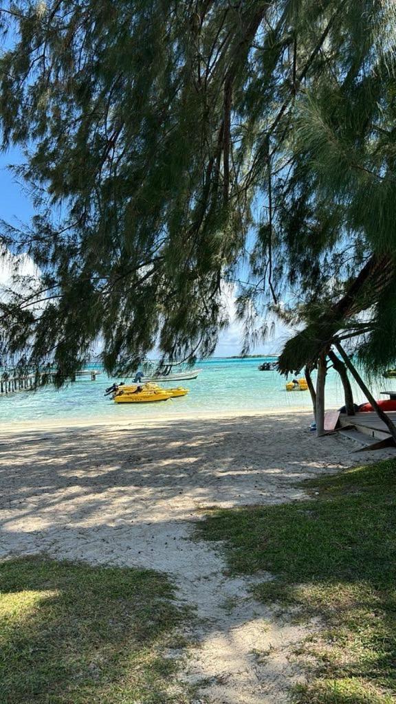 Beach De Reve De Moorea Hauru Экстерьер фото