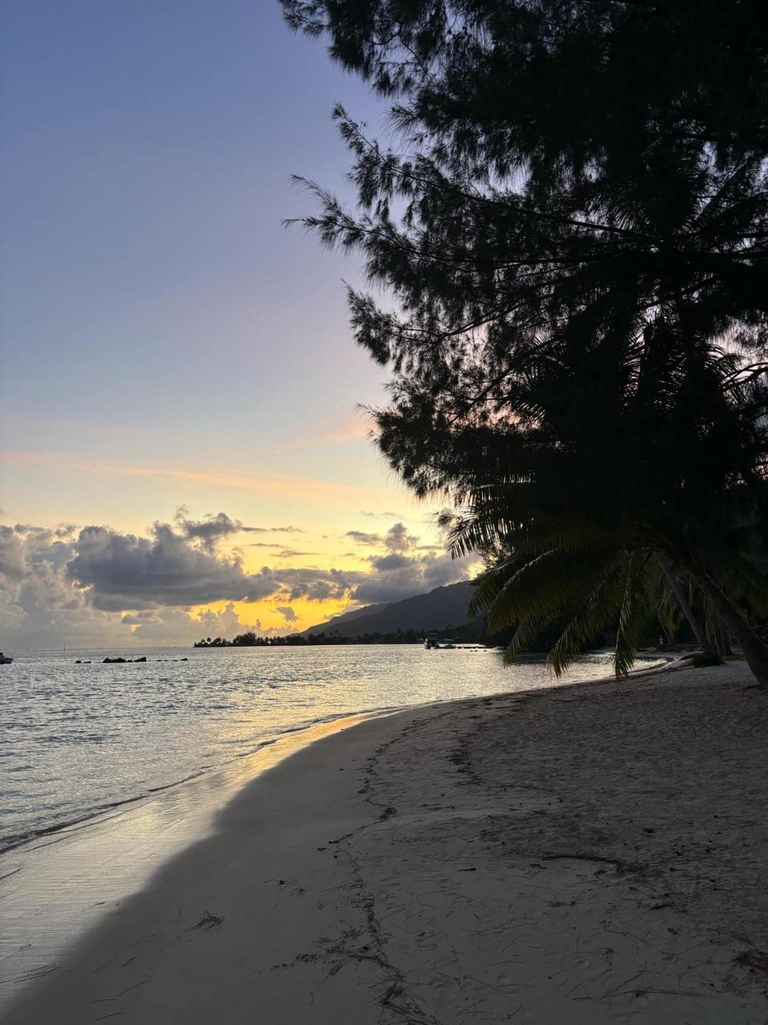 Beach De Reve De Moorea Hauru Экстерьер фото