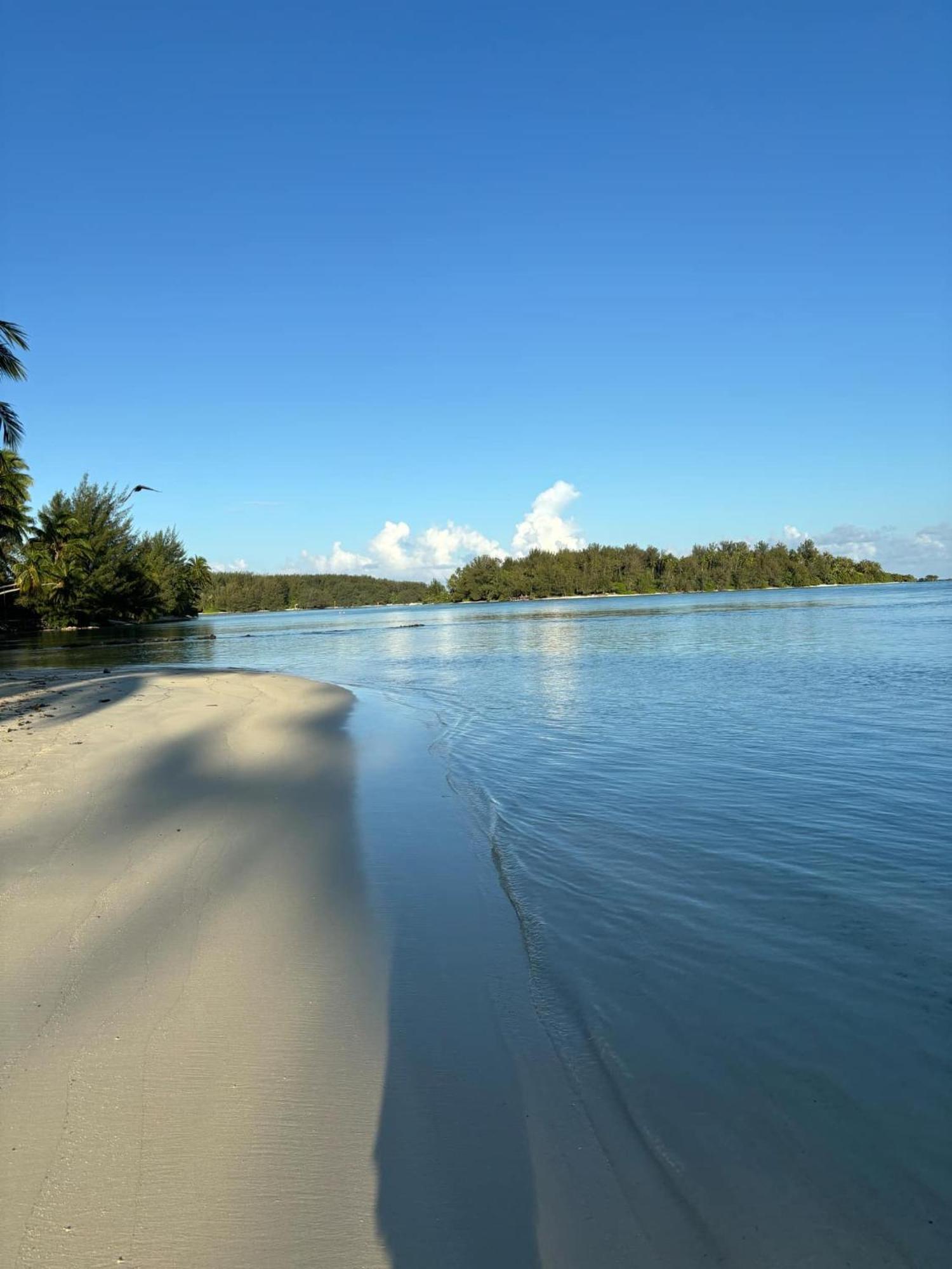 Beach De Reve De Moorea Hauru Экстерьер фото